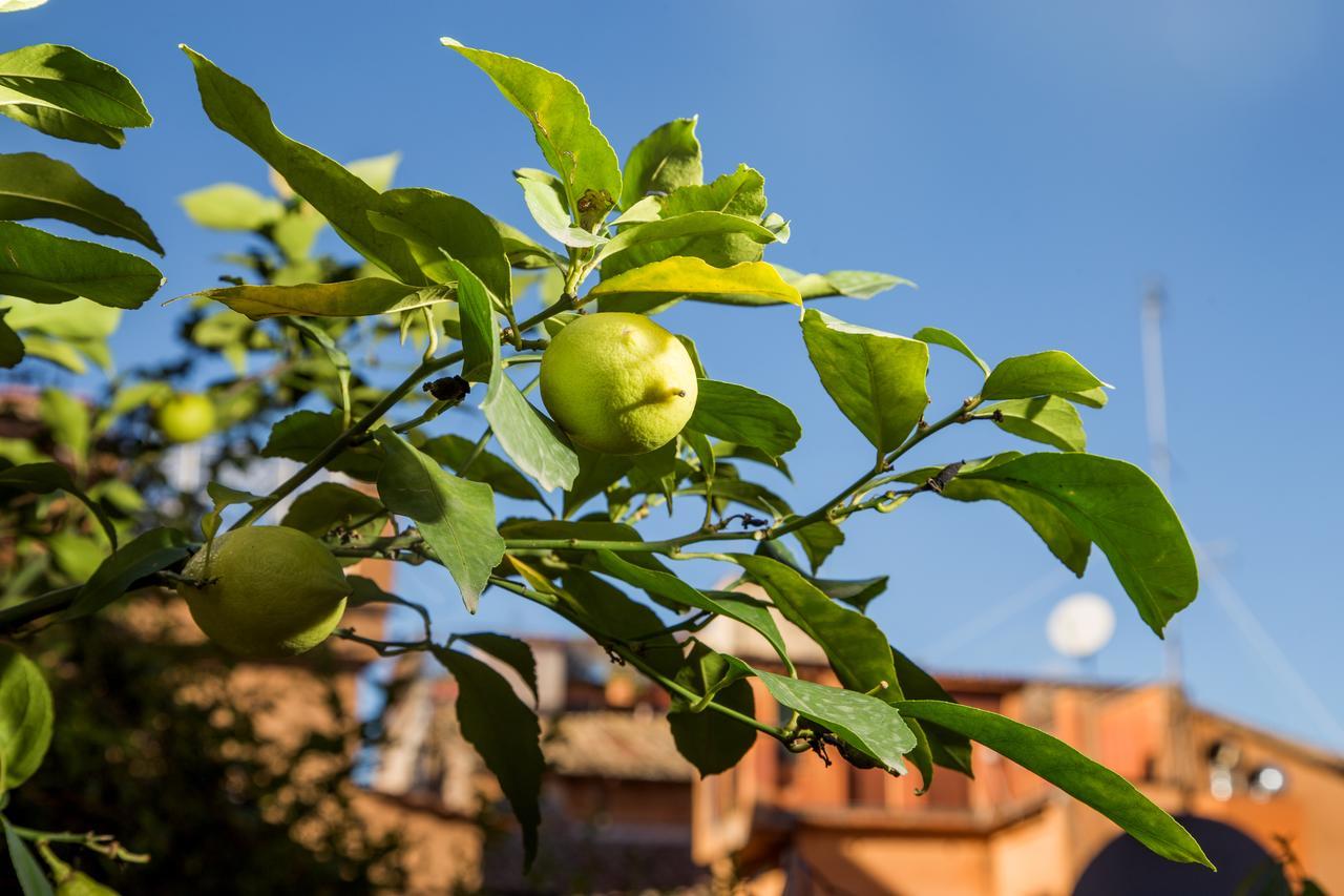 Trastevere Apartments Řím Exteriér fotografie